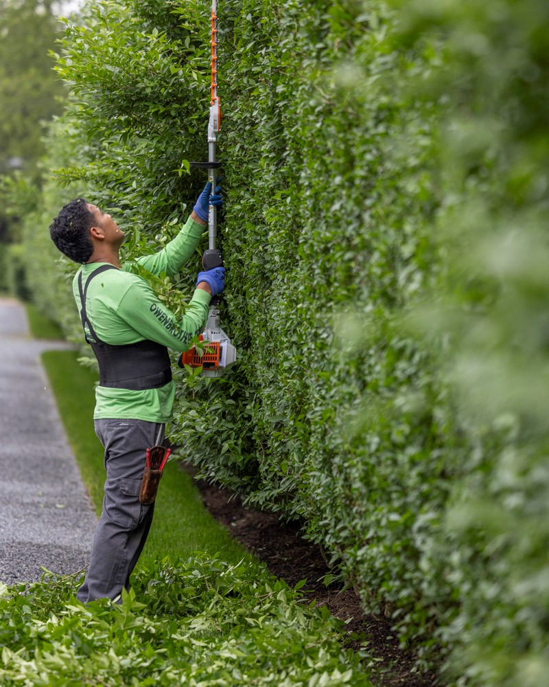 Owen Brothers Landscaping team member trimming a hedge.